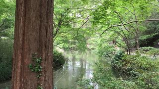 川崎にもこんな自然が。