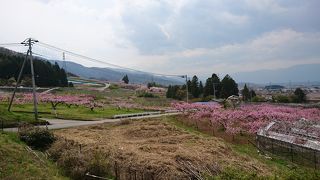 気持ちのいいドライブロード