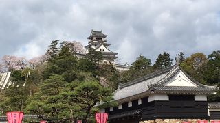 重要文化財の名城です