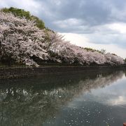 文字通り高知城の西側にある市民の憩いの公園