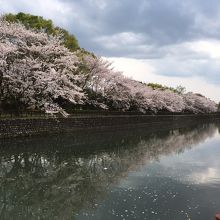 城西公園