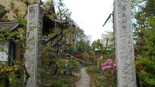 浜町公園の中にある風格を感じるお寺