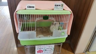 命(みこと)駅長の駅はお土産が充実