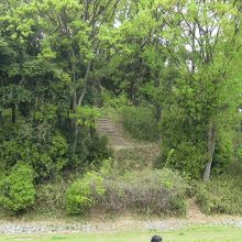 今城塚古墳階段