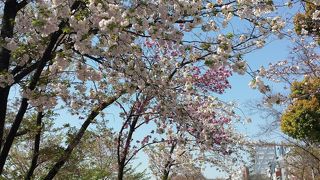 水辺にある公園で落ち着く