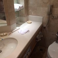 部屋のトイレと洗面所