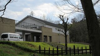 ちょっと残念な感じが