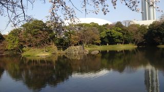 美しい日本が感じられる。