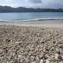 サンゴのかけらの海岸