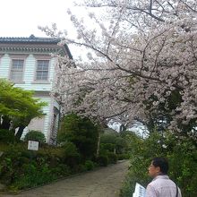 桜と洋館の組み合わせもGOOD
