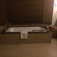 持て余す大きさ