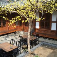 内庭の様子です