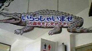 人を選ぶ面白さ