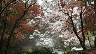 国分寺崖線を利用した土地の庭園