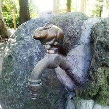 柿田川公園内に・・・