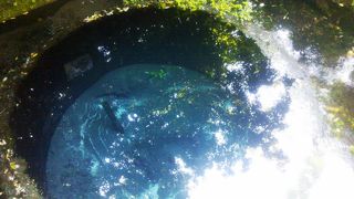 暑い季節にお勧めです。