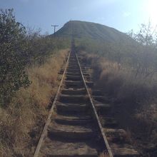 登山口からの景色