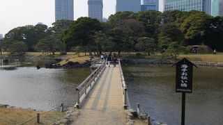 半島の眺めがきれい