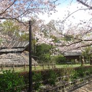 復元された竪穴住居・高床倉庫や柏谷横穴群などの遺跡