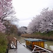 桜の季節に行きました