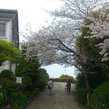 桜との組み合わせが良い