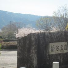 柏谷公園の入口