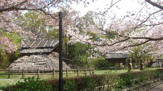 復元された竪穴住居・高床倉庫や柏谷横穴群などの遺跡