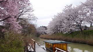桜の季節に行きました