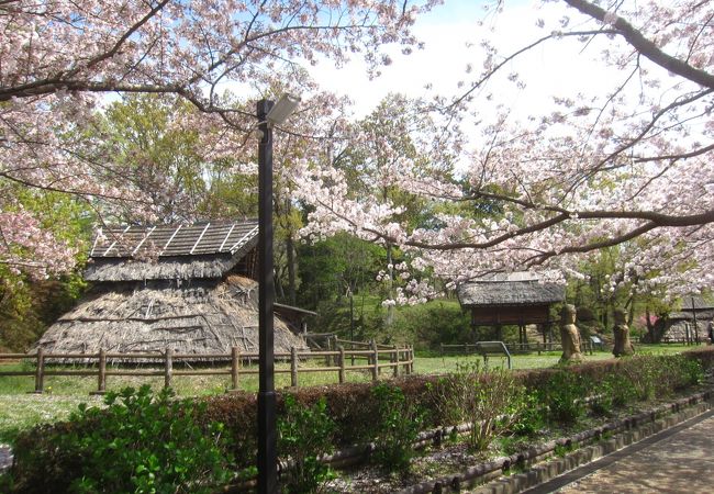 復元された竪穴住居・高床倉庫や柏谷横穴群などの遺跡