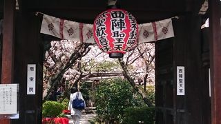 隠れ家的な桜の名所