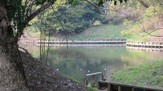 池は見られる場所はほとんどない