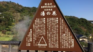 湯の花を購入して「明礬温泉」～別府～