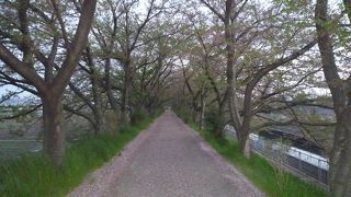 ４月に訪問したので桜が綺麗でした