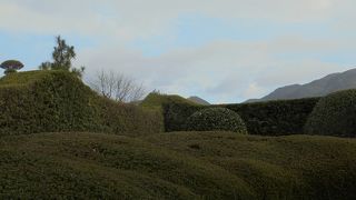 庭園の刈り込みについて（平山亮一氏庭園）
