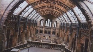 大英自然史博物館展