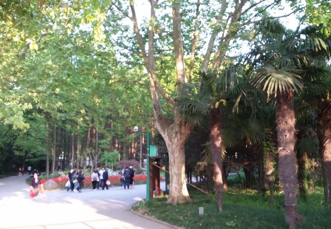 共青森林公園
