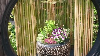 季節ごとのお料理