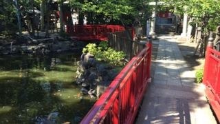 雰囲気抜群な弁天池