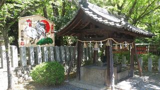 むこうじんじゃ 