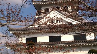 館山城址公園、桜も眺めも楽しめました。
