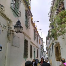 もの悲しい気もする。考えすぎかな？