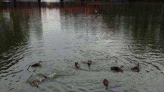 古墳の一部とも