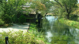 レンタサイクルで巡る「安曇野わさび田湧水群」