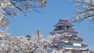 満開の桜が見事でした