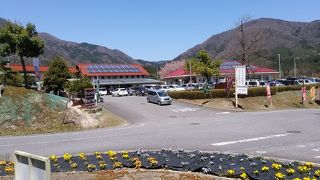 高橋名人の教えを受けた蕎麦