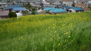 野球場やテニスコートがあります