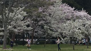 市民の憩いの場