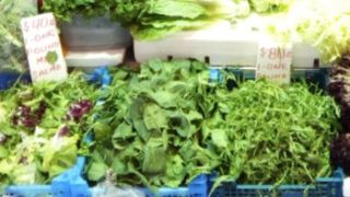 家の近くにあったらなあ～