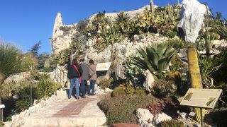 サボテン公園ですね！