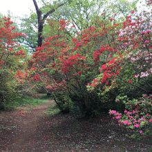 入園は無料